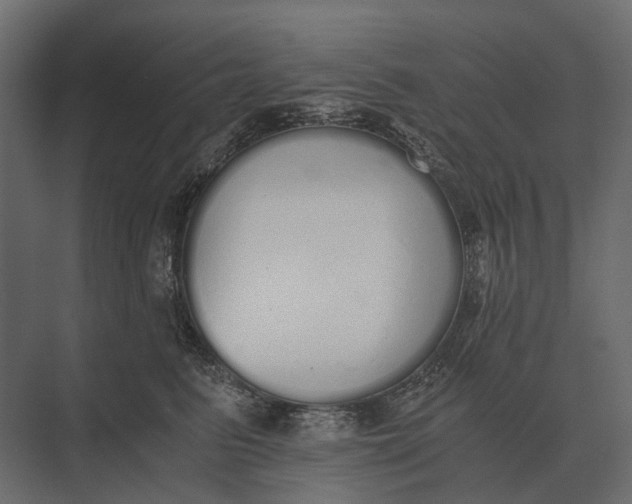 X0000073450615200608181240