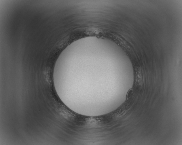 X0000073450616200608181240