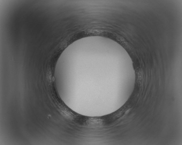 X0000073450617200608181240