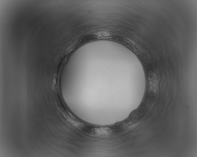 X0000073450618200608181240