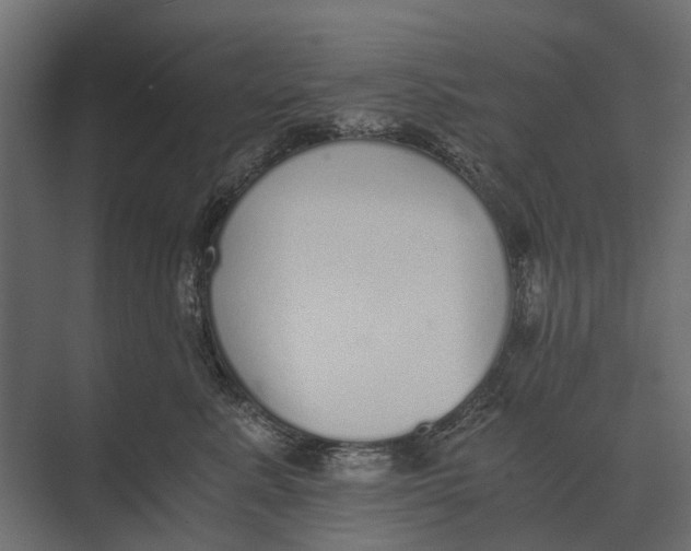 X0000073450619200608181240