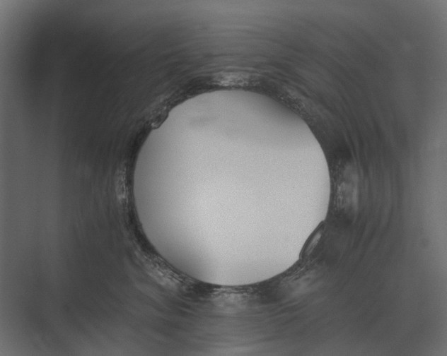 X0000073450620200608181240