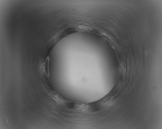 X0000073450621200608181240