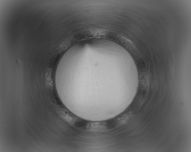 X0000073450622200608181240