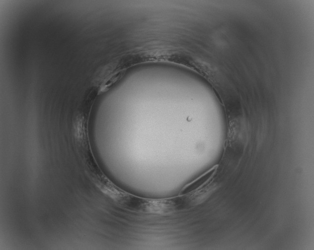 X0000073450623200608181240