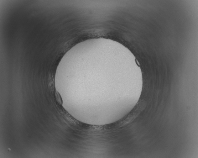 X0000073450624200608181240