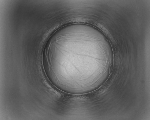 X0000073450625200608181239