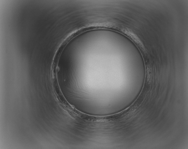 X0000073450628200608181239