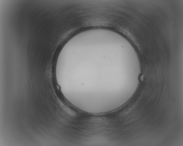 X0000073450629200608181239