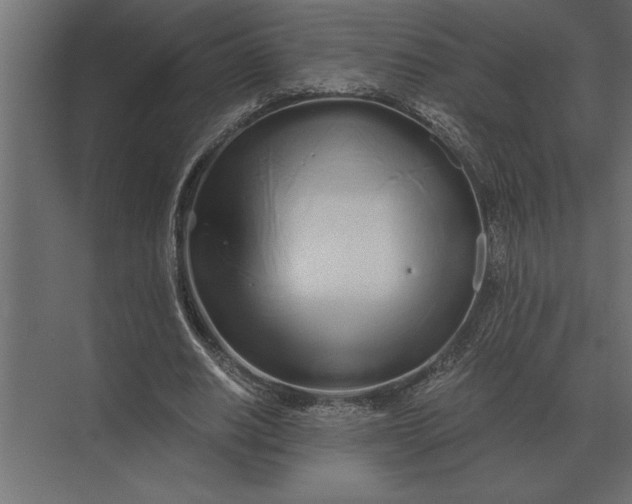 X0000073450630200608181239