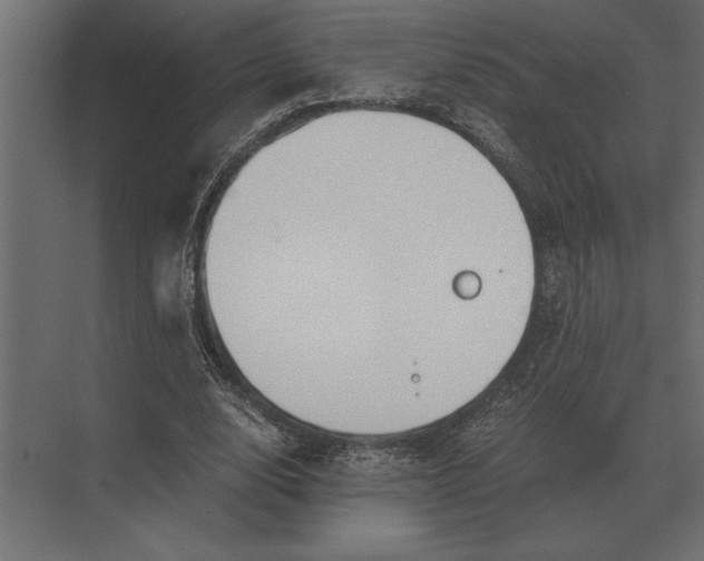 X0000073450632200608181239