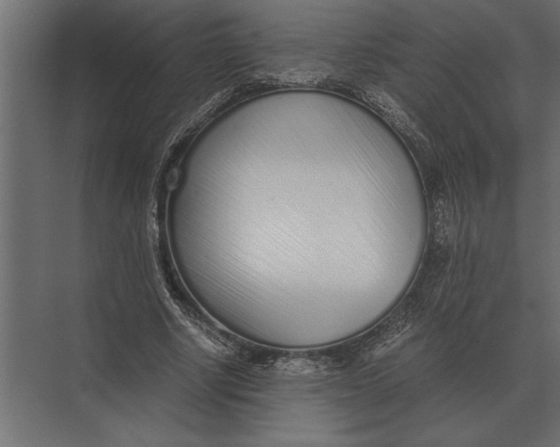 X0000073450634200608181239