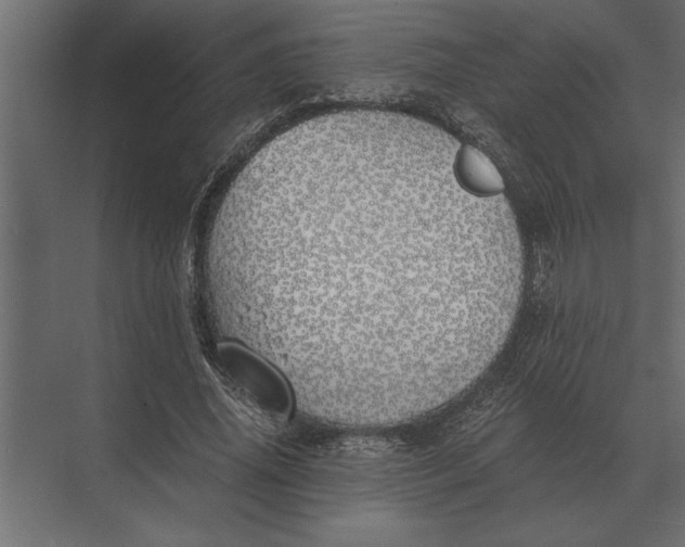 X0000073450636200608181239