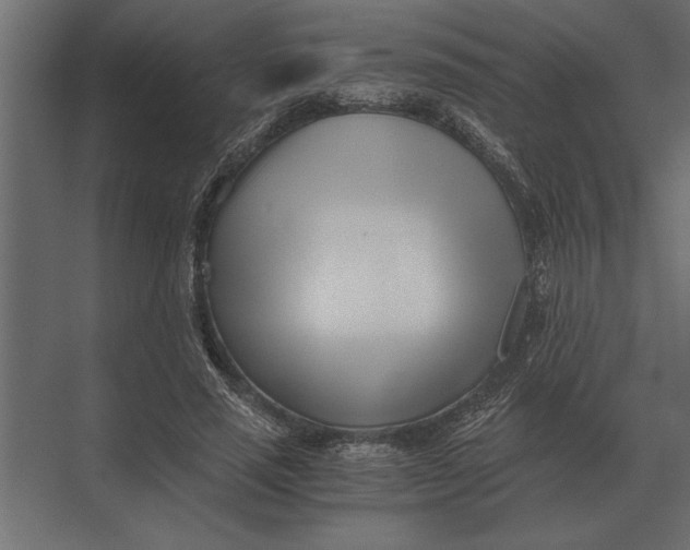 X0000073450637200608181239