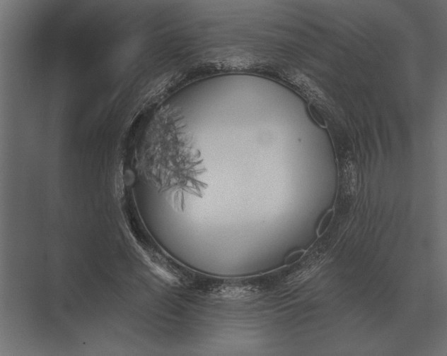 X0000073450638200608181239