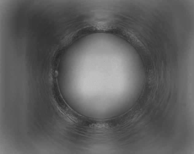 X0000073450639200608181240