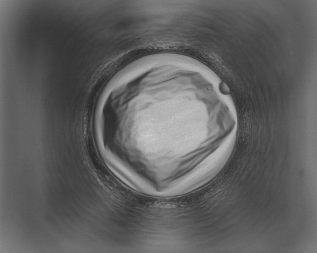 X0000073450640200608181240