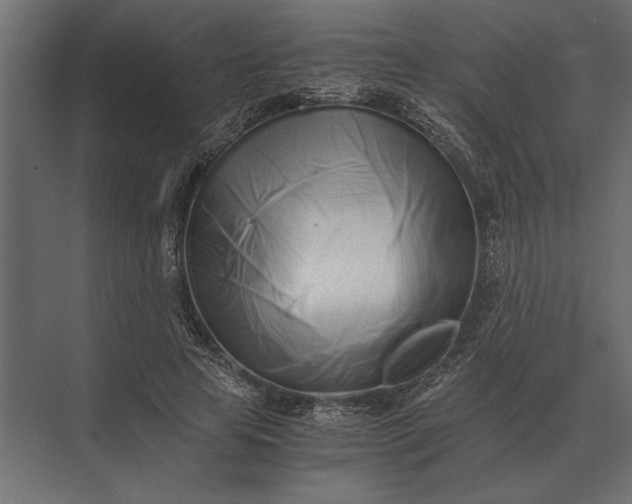 X0000073450641200608181240