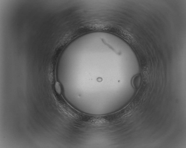 X0000073450642200608181240