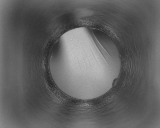 X0000073450643200608181240