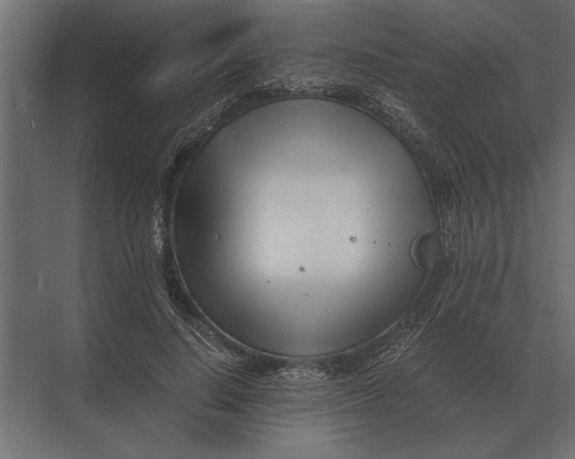 X0000073450644200608181240