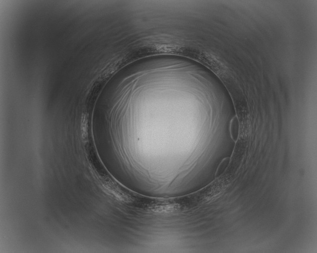 X0000073450646200608181240