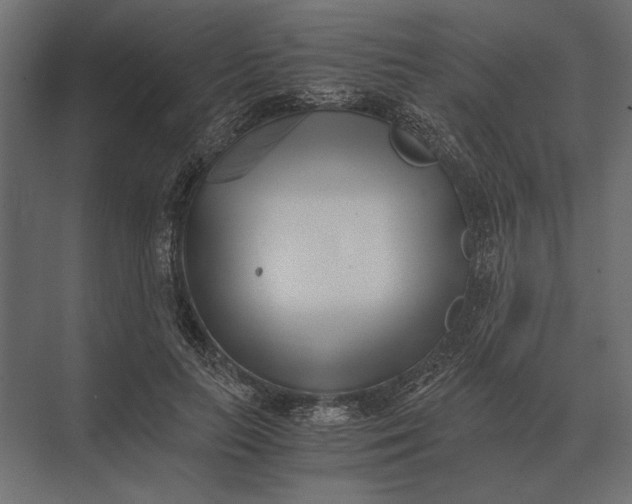 X0000073450647200608181240