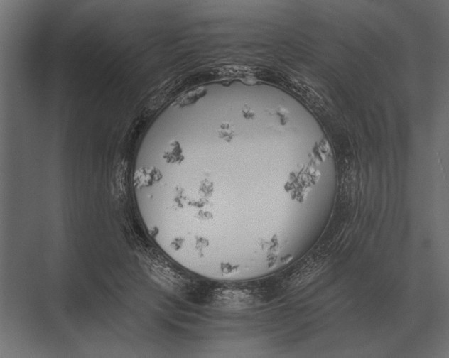 X0000073450649200608181240