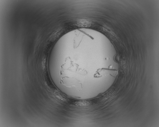 X0000073450652200608181240