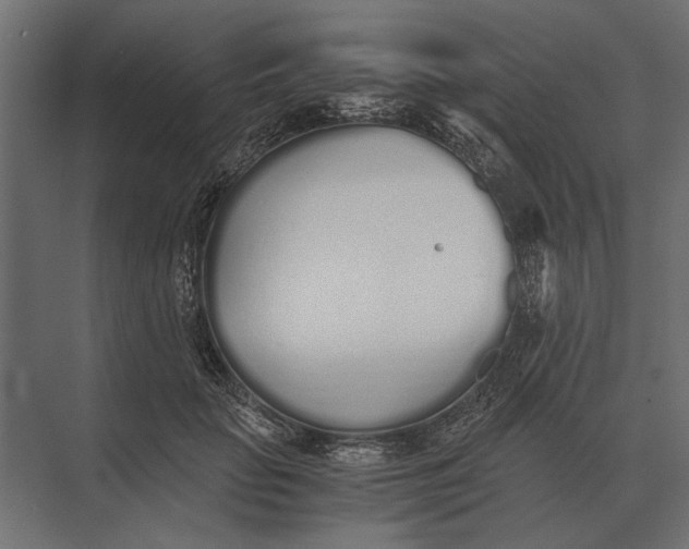 X0000073450653200608181240