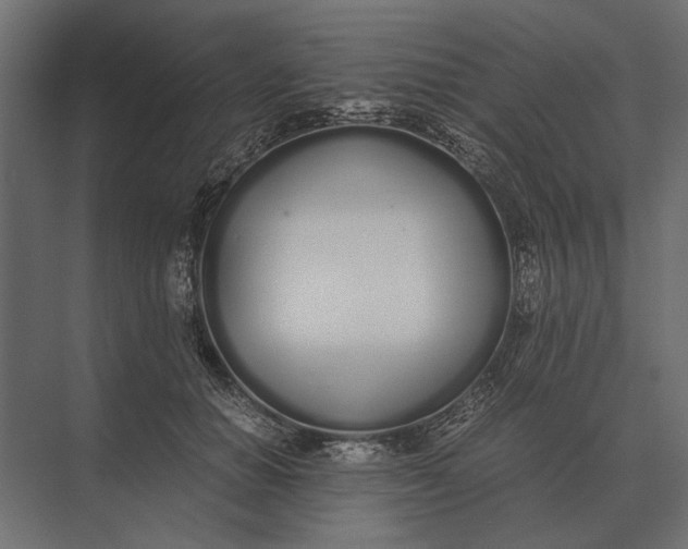 X0000073450654200608181240