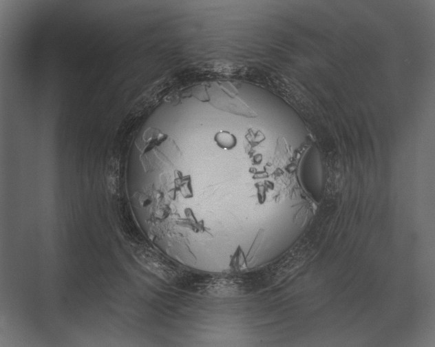 X0000073450656200608181240