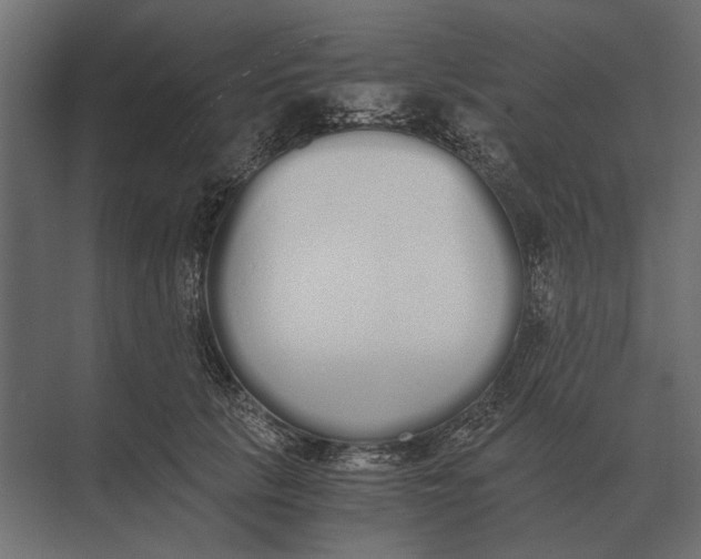 X0000073450657200608181240