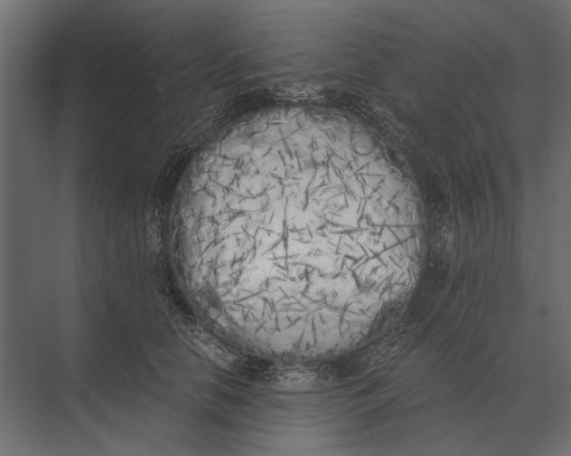 X0000073450658200608181240