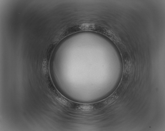 X0000073450659200608181240