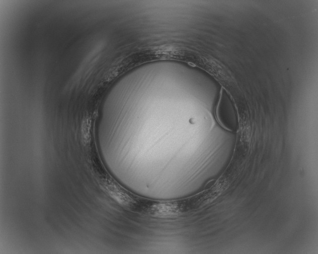 X0000073450660200608181240