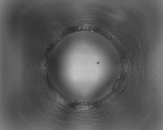 X0000073450661200608181240