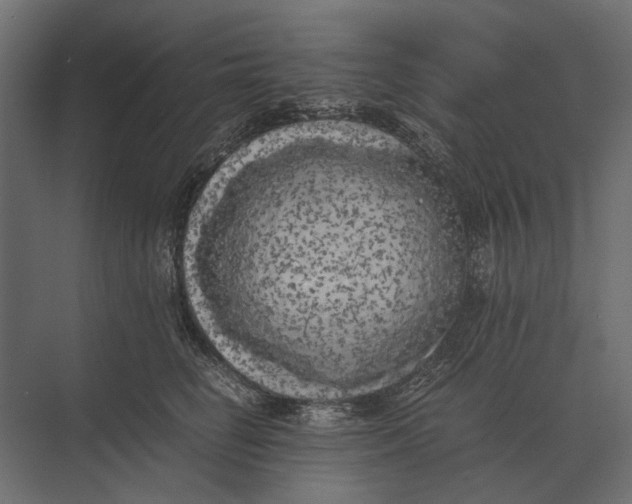 X0000073450662200608181240