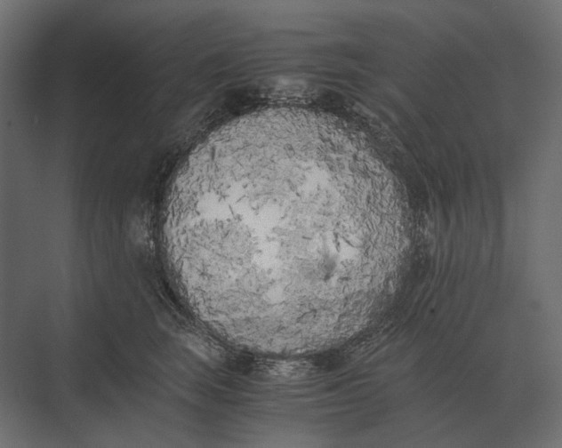 X0000073450663200608181240