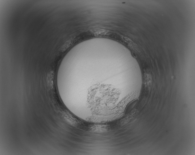 X0000073450664200608181240