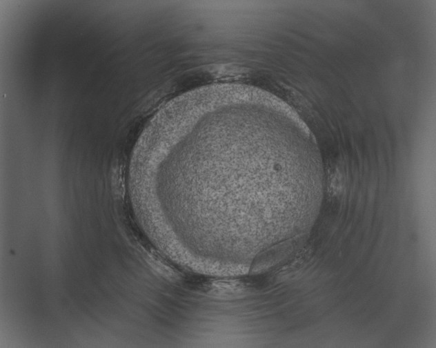 X0000073450666200608181240