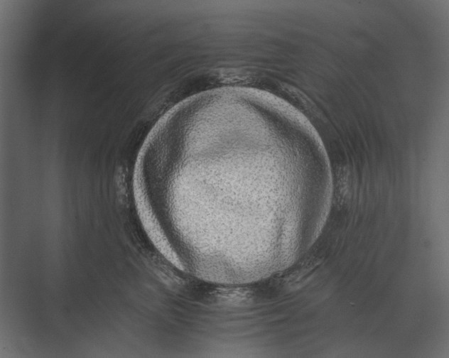 X0000073450667200608181240