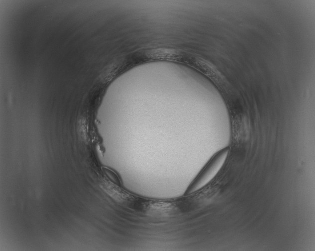 X0000073450669200608181240