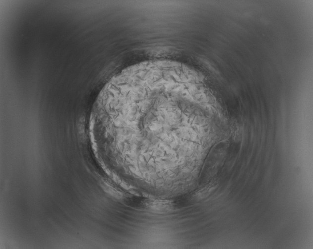 X0000073450670200608181240