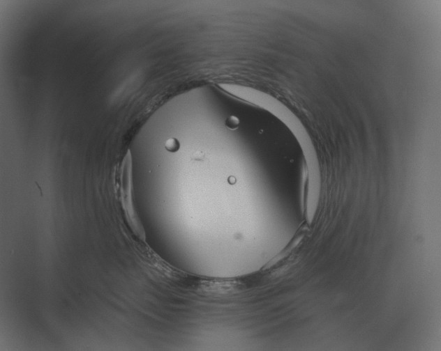 X0000073450671200608181240