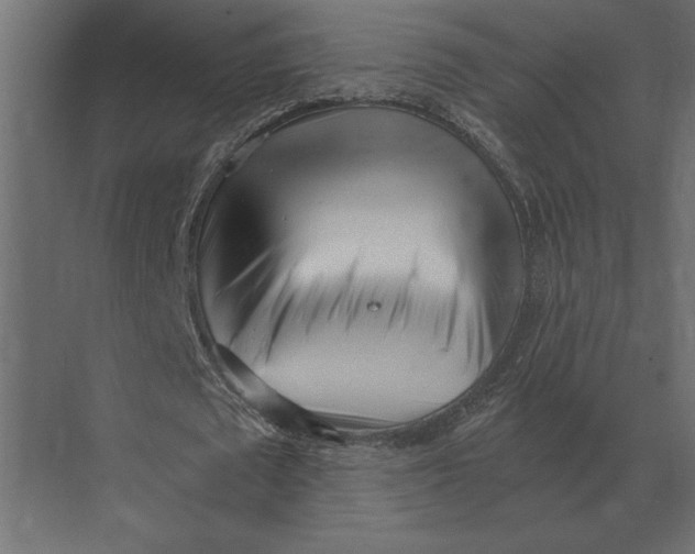 X0000073450673200608181239