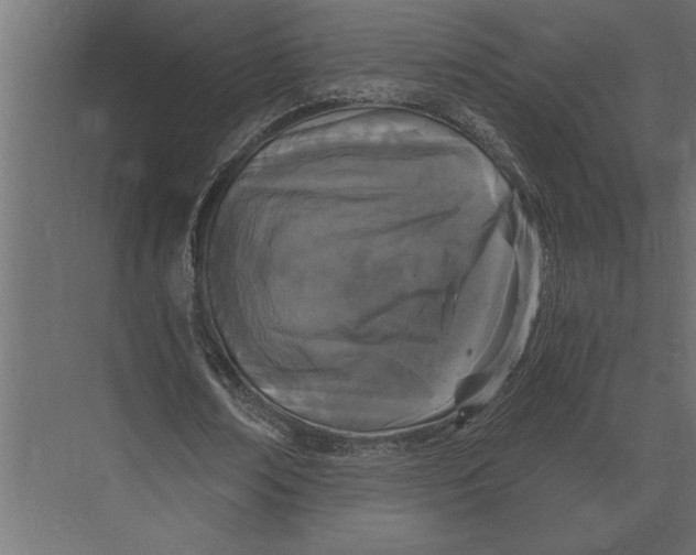 X0000073450674200608181239