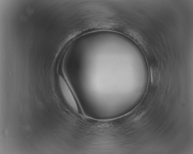 X0000073450675200608181239