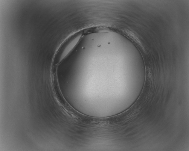 X0000073450676200608181239