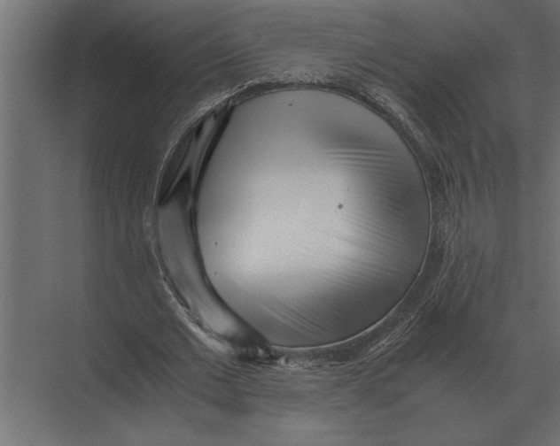 X0000073450677200608181239